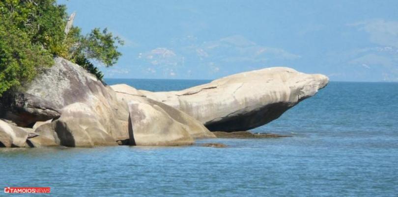 Apto Lindo E Aconchegante Com Piscina 202A Caraguatatuba Bagian luar foto